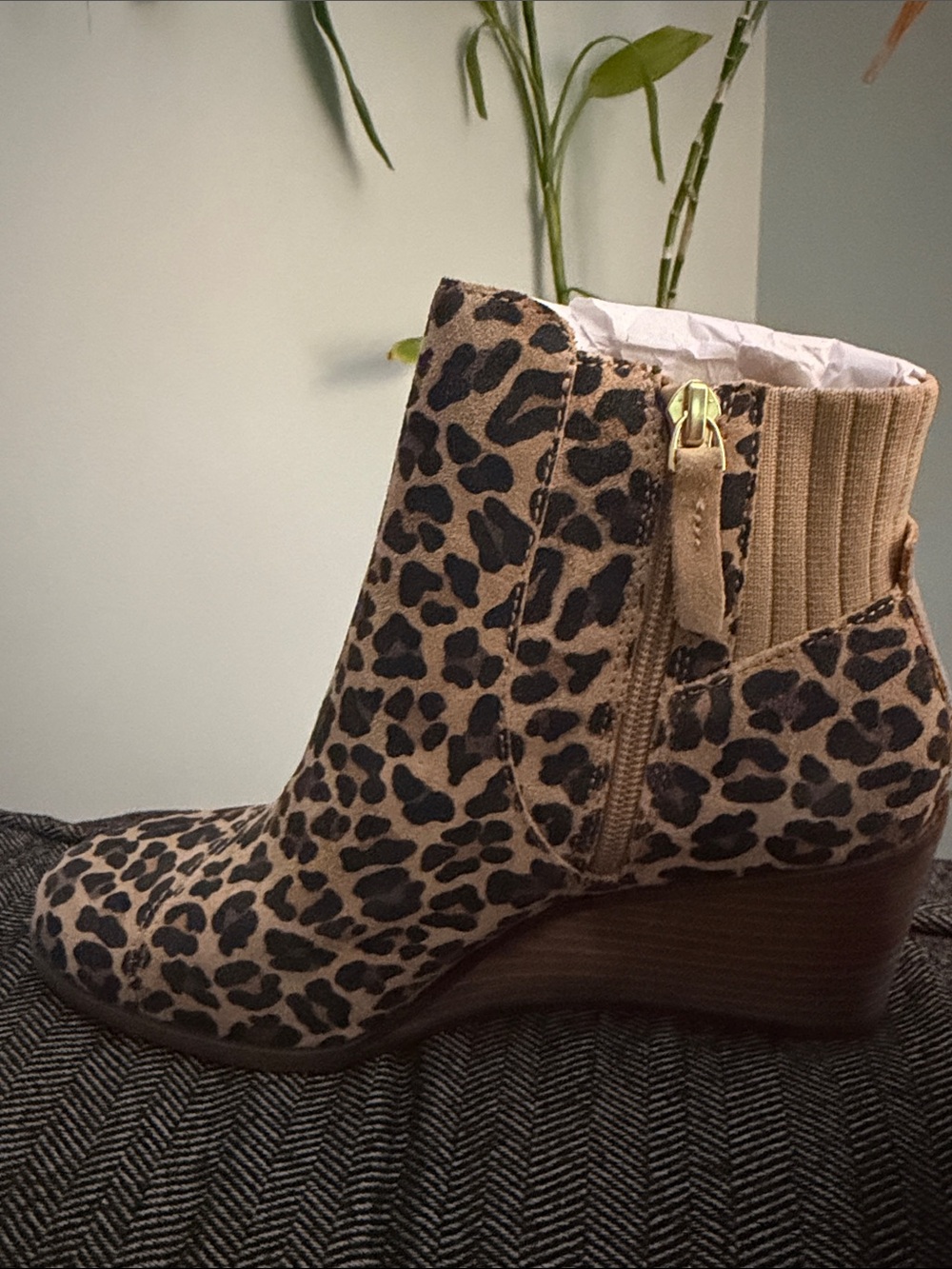 TOMS Leopard Print Chelsea Ankle Boots – New with Tags & Box - Picture 5 of 5